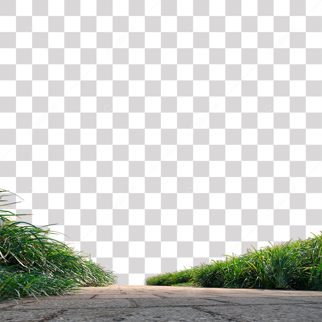 Estrada com grama PNG Transparente