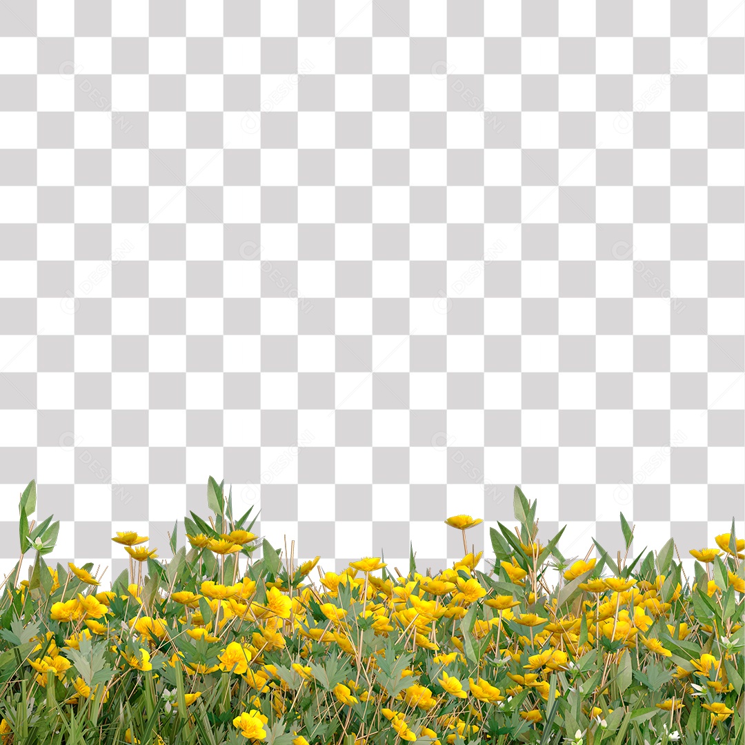 Jardim Grama Verde Flores PNG Transparente