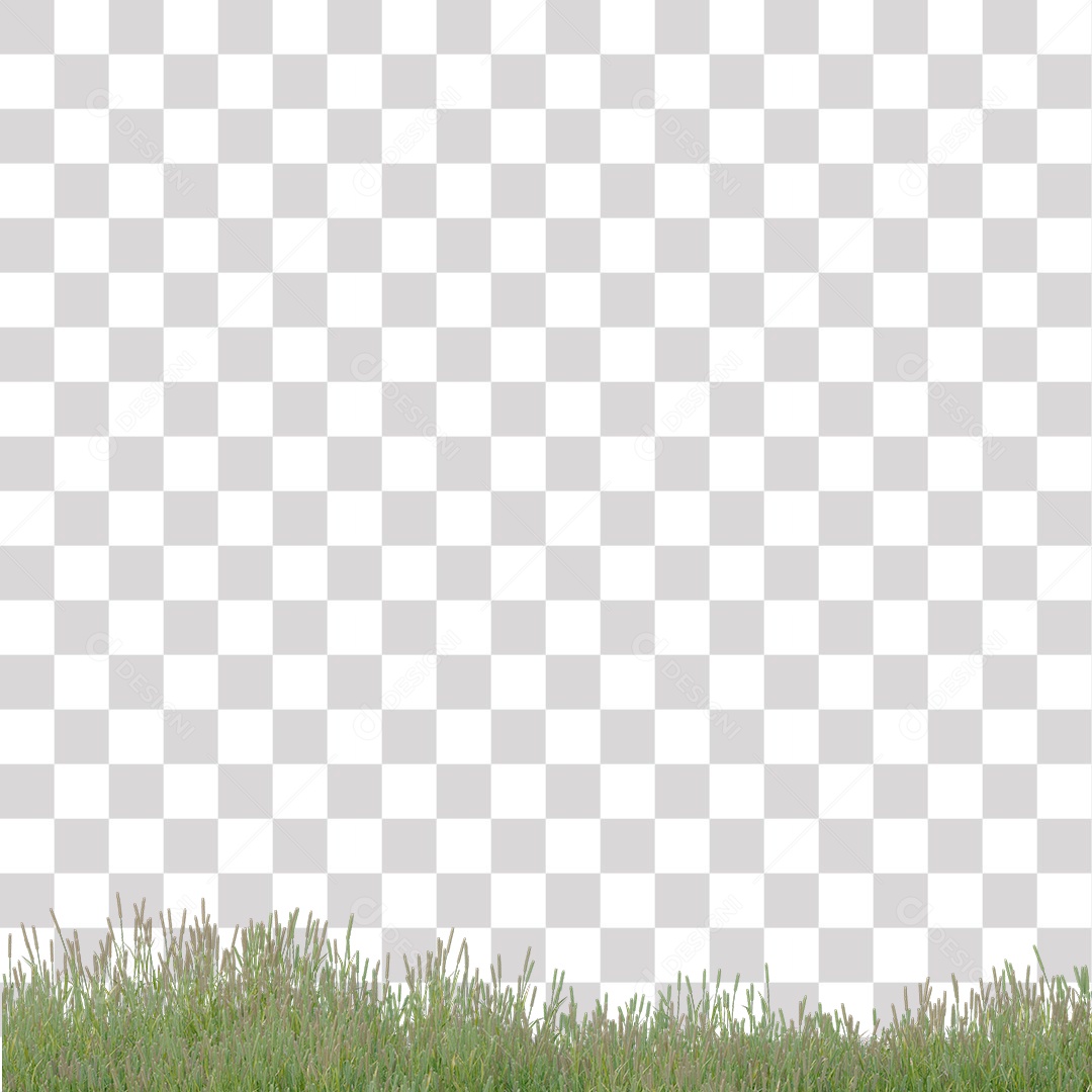 Planta Arbusto PNG Transparente