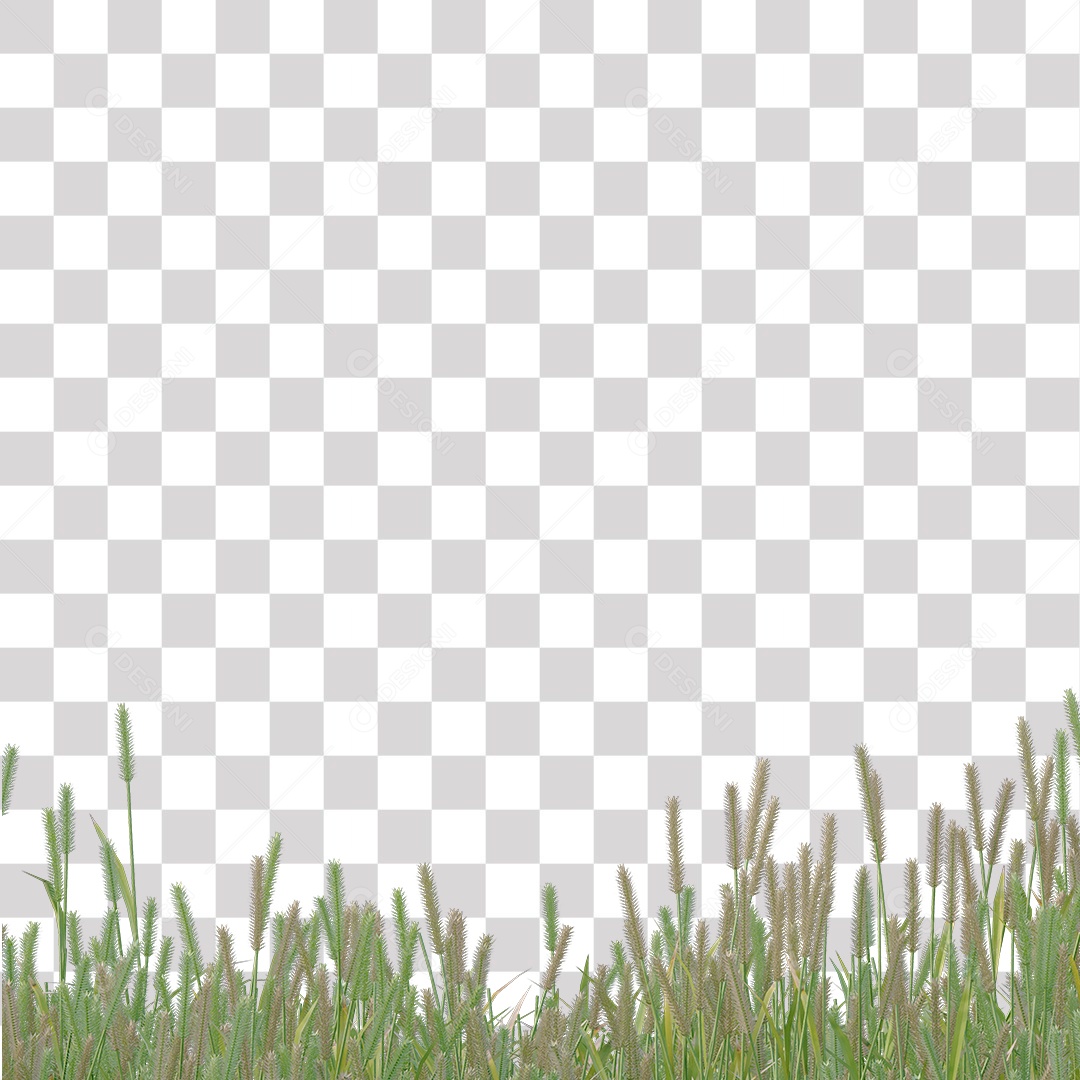 Planta Arbusto PNG Transparente