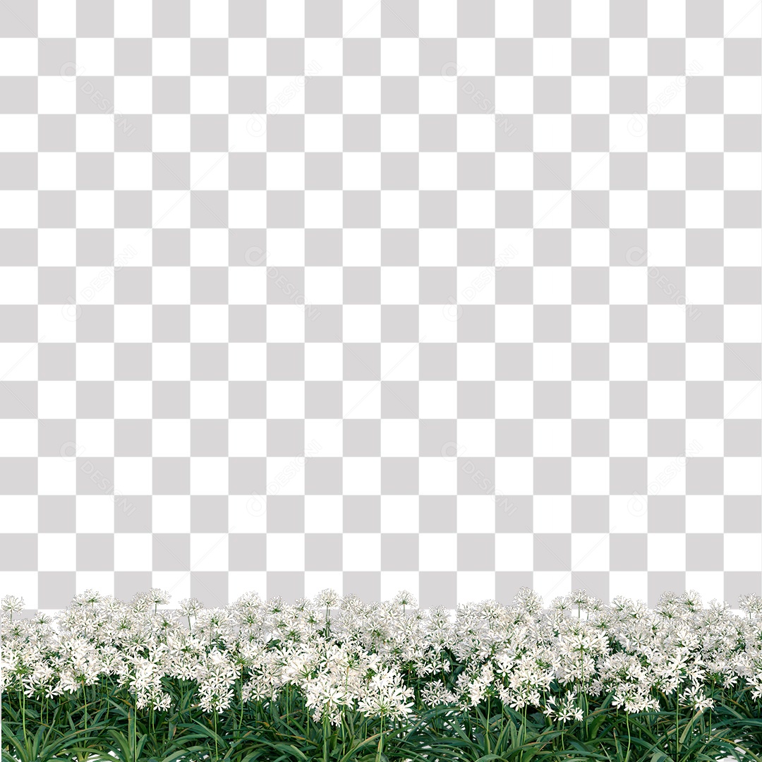 Jardim Grama Verde Flores PNG Transparente