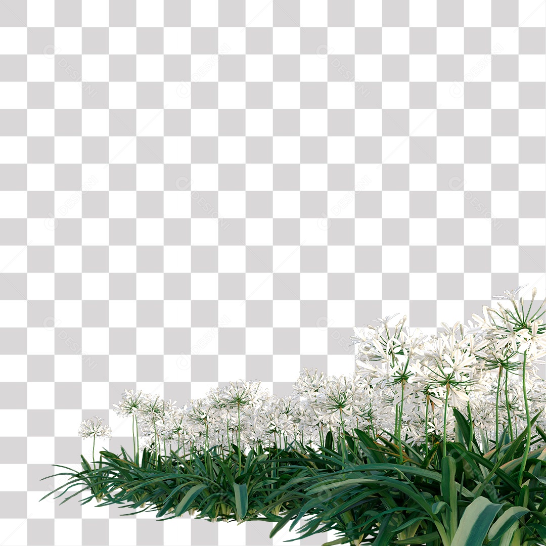 Jardim Grama Verde Flores PNG Transparente