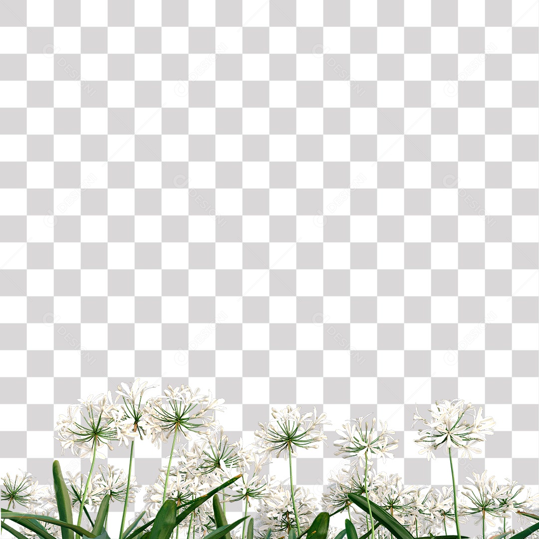 Planta com Flor PNG Transparente