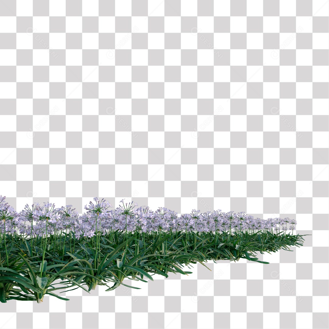 Planta com Flor PNG Transparente