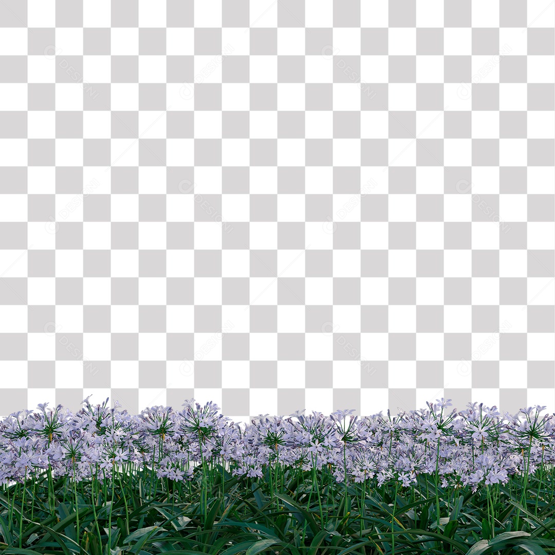 Planta com Flor PNG Transparente