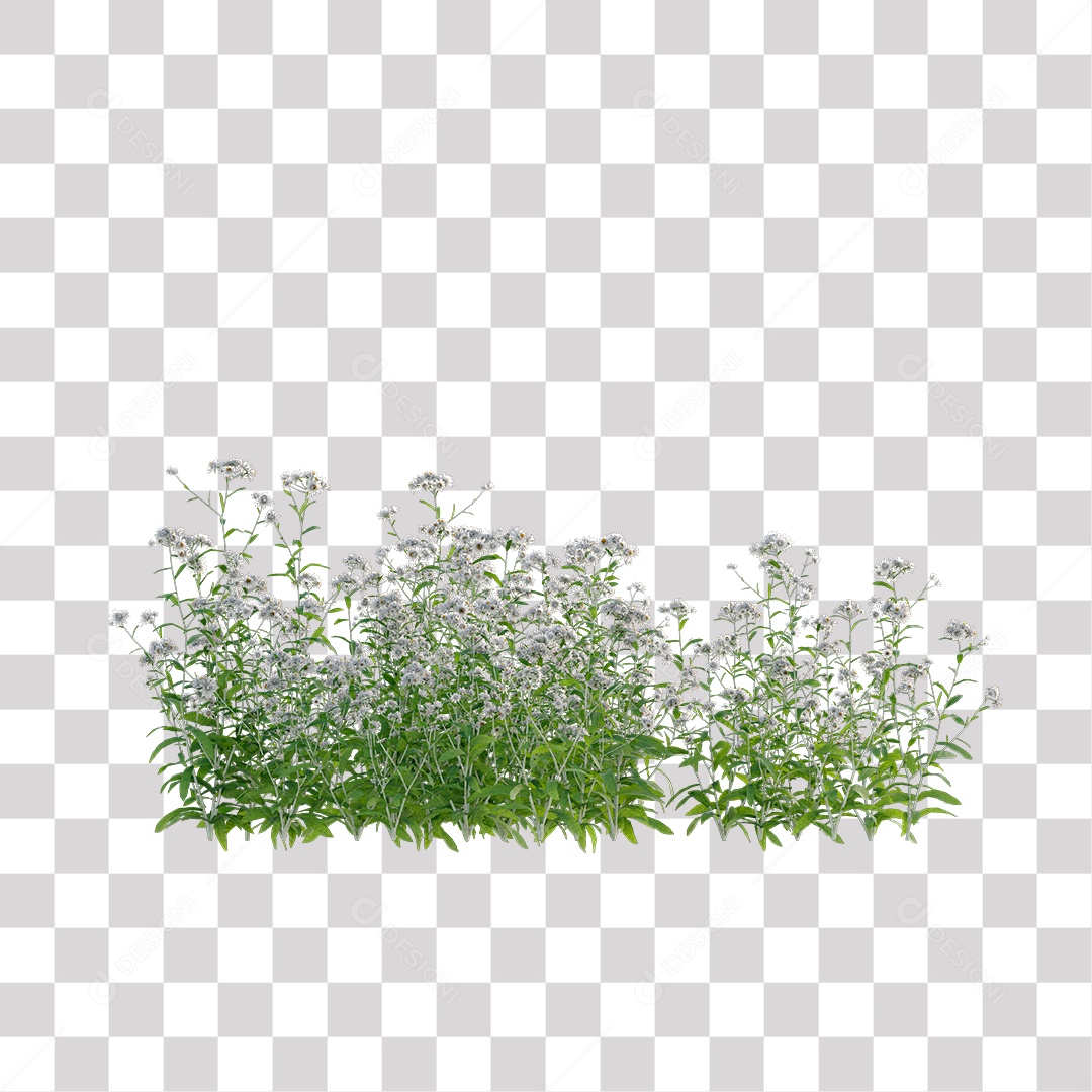 Planta com Flor PNG Transparente