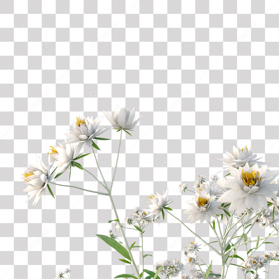 Planta com Flor PNG Transparente