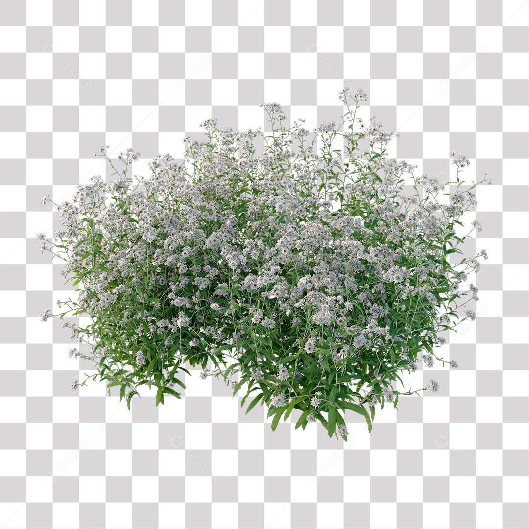 Planta com Flor PNG Transparente