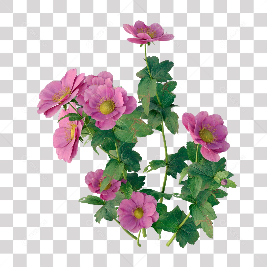 Pink Flower PNG Transparent