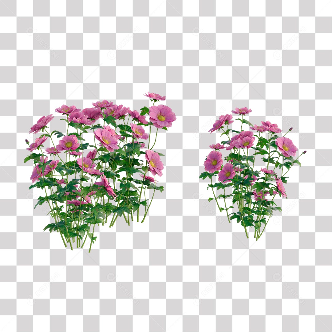 Flor Rosa PNG Transparente