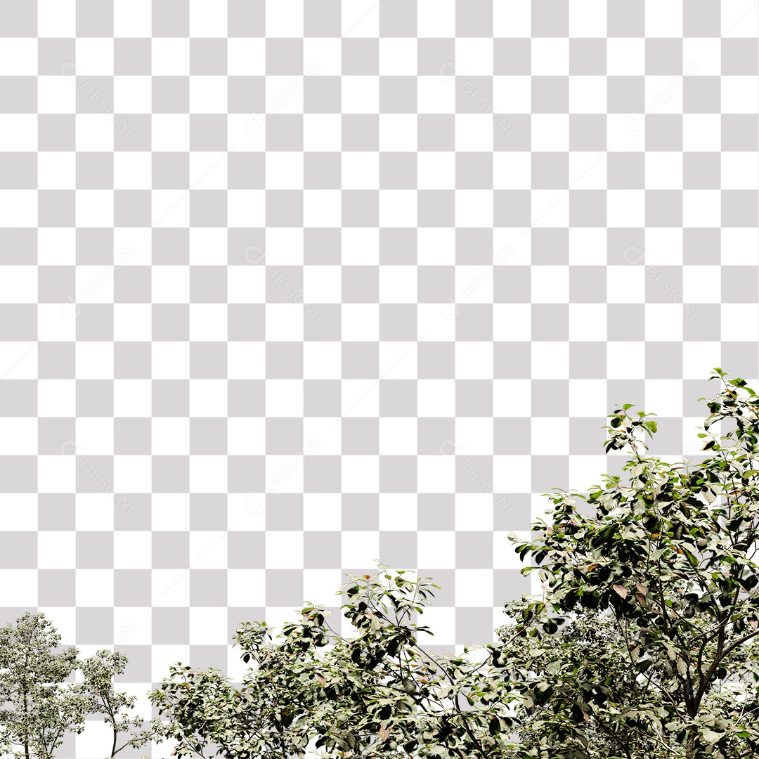 Árvore de folha verde, planta PNG Transparente