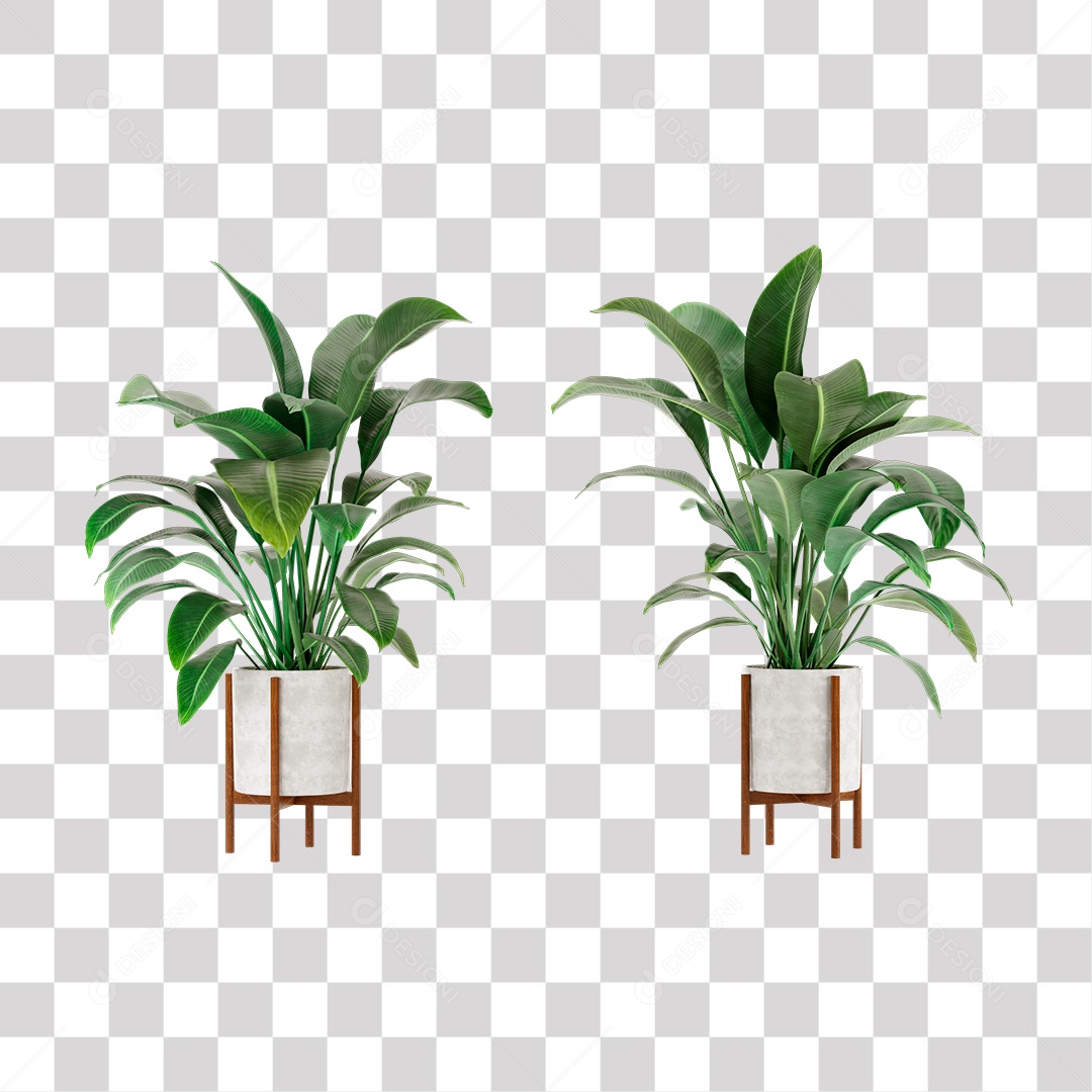 Planta, Cenário PNG Transparente