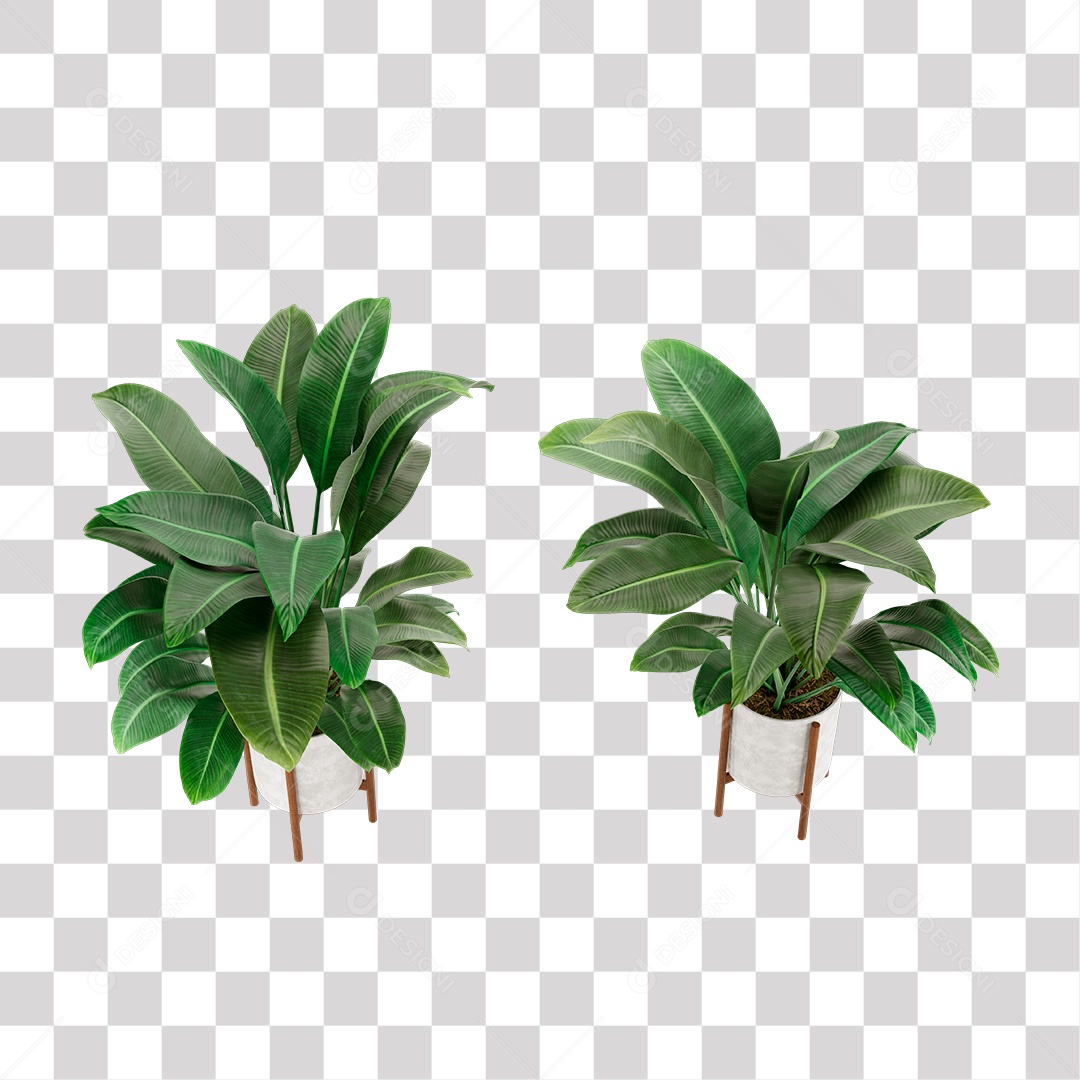 Planta, Cenário PNG Transparente