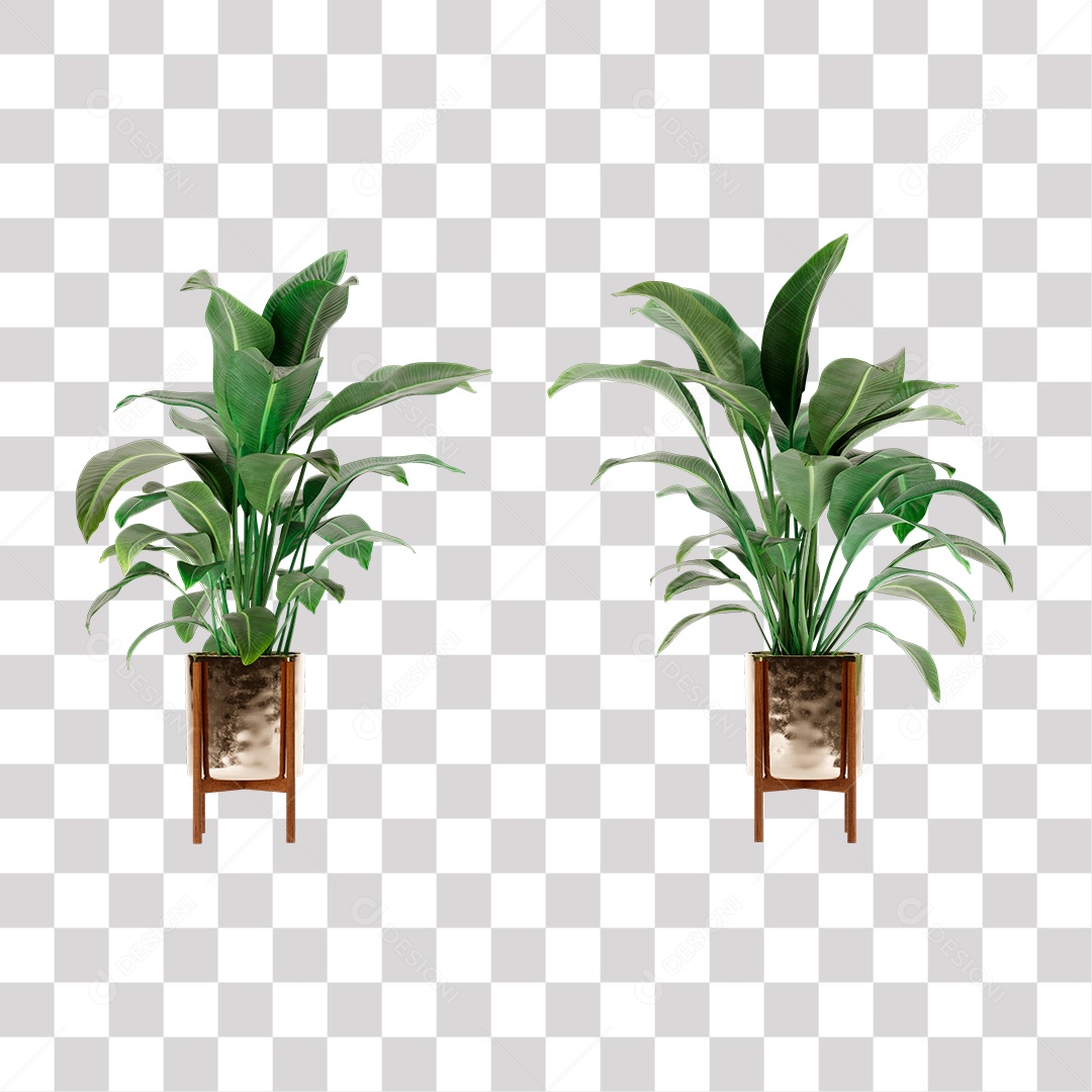 Planta, Cenário PNG Transparente