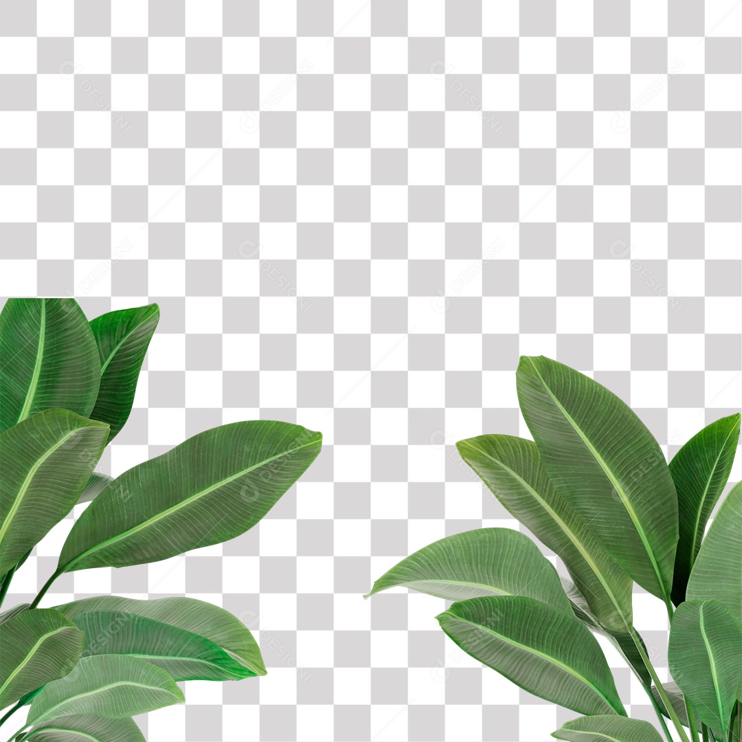 Planta, Cenário PNG Transparente