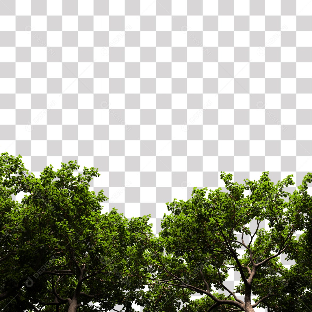 Árvores verdes PNG Transparente