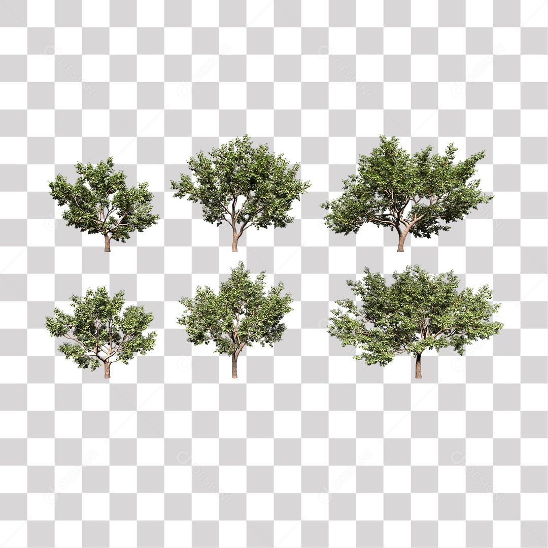 Árvores verdes PNG Transparente