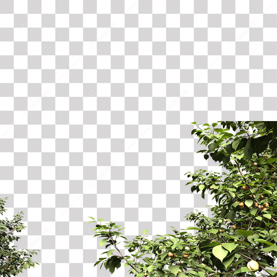 Árvores verdes PNG Transparente