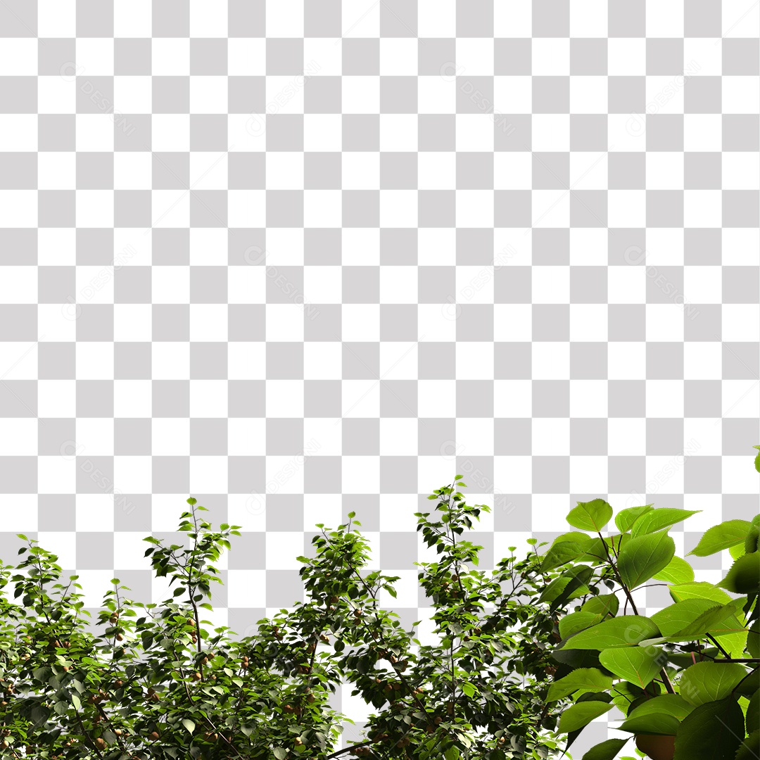 Árvores verdes PNG Transparente