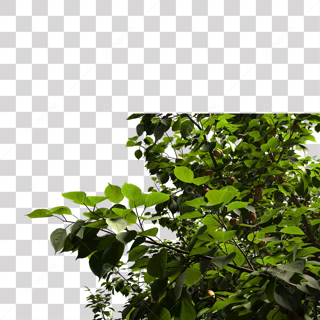 Árvores verdes PNG Transparente