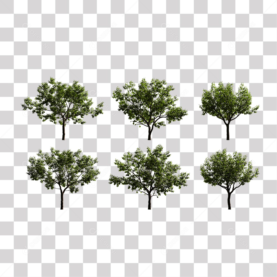 Árvores verdes PNG Transparente