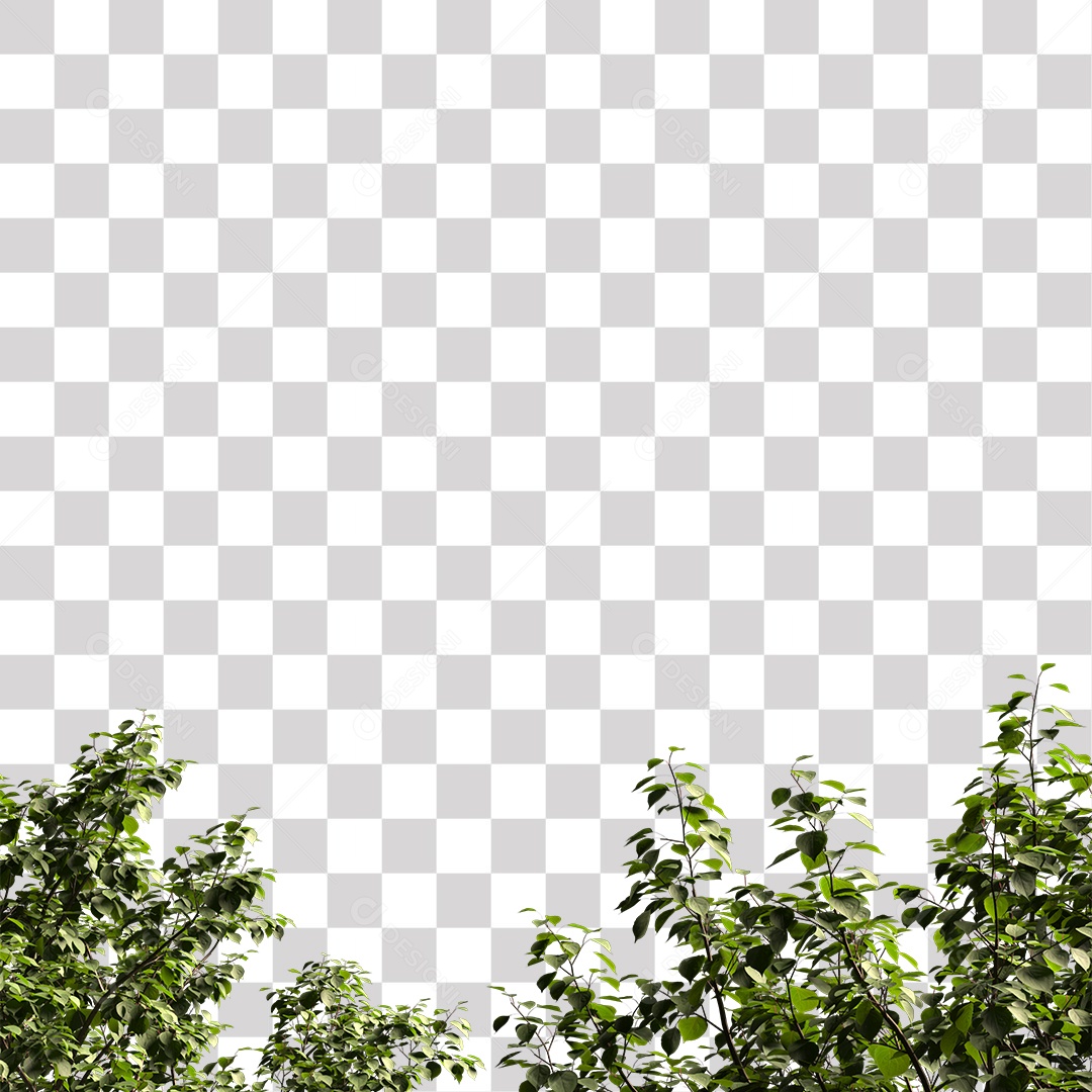 Árvores verdes PNG Transparente