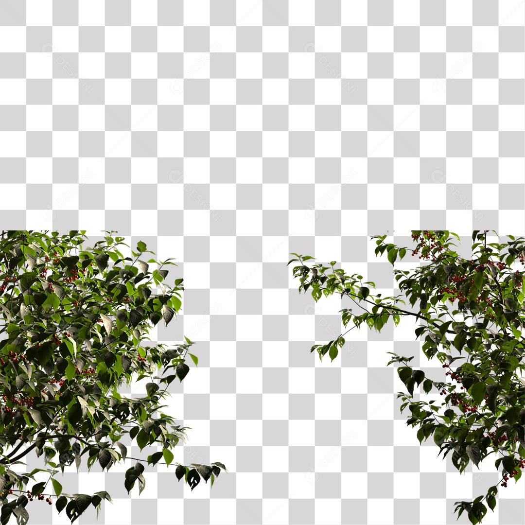 Árvores verdes PNG Transparente