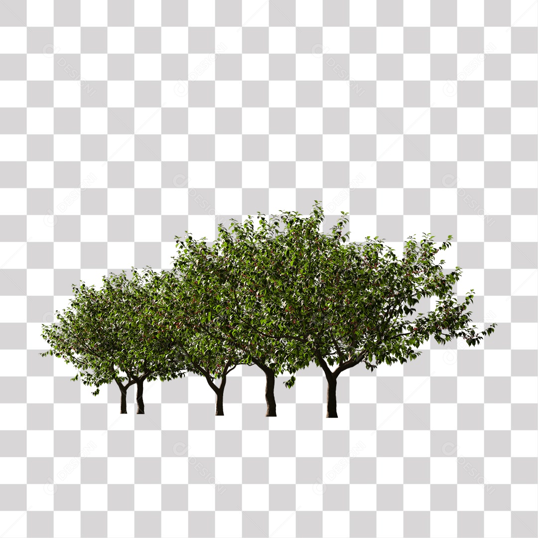 Árvores verdes PNG Transparente