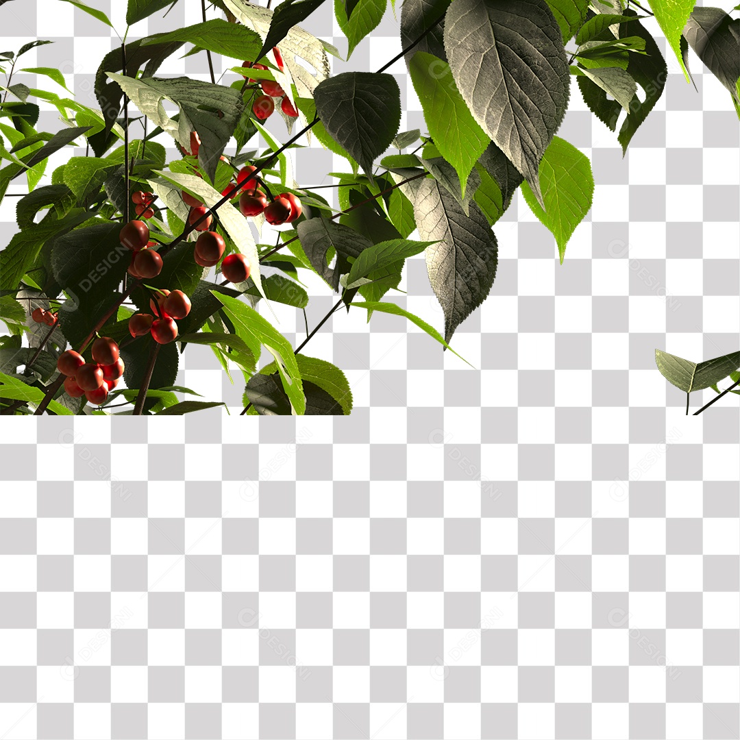 Coffee Foot PNG Transparent