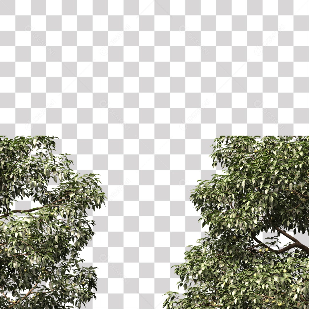 Árvore de Folha Verde Planta PNG Transparente