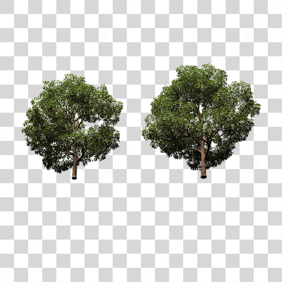 Árvore de Folha Verde Planta PNG Transparente