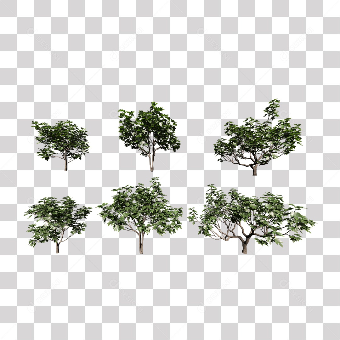 Árvore de Folha Verde Planta PNG Transparente