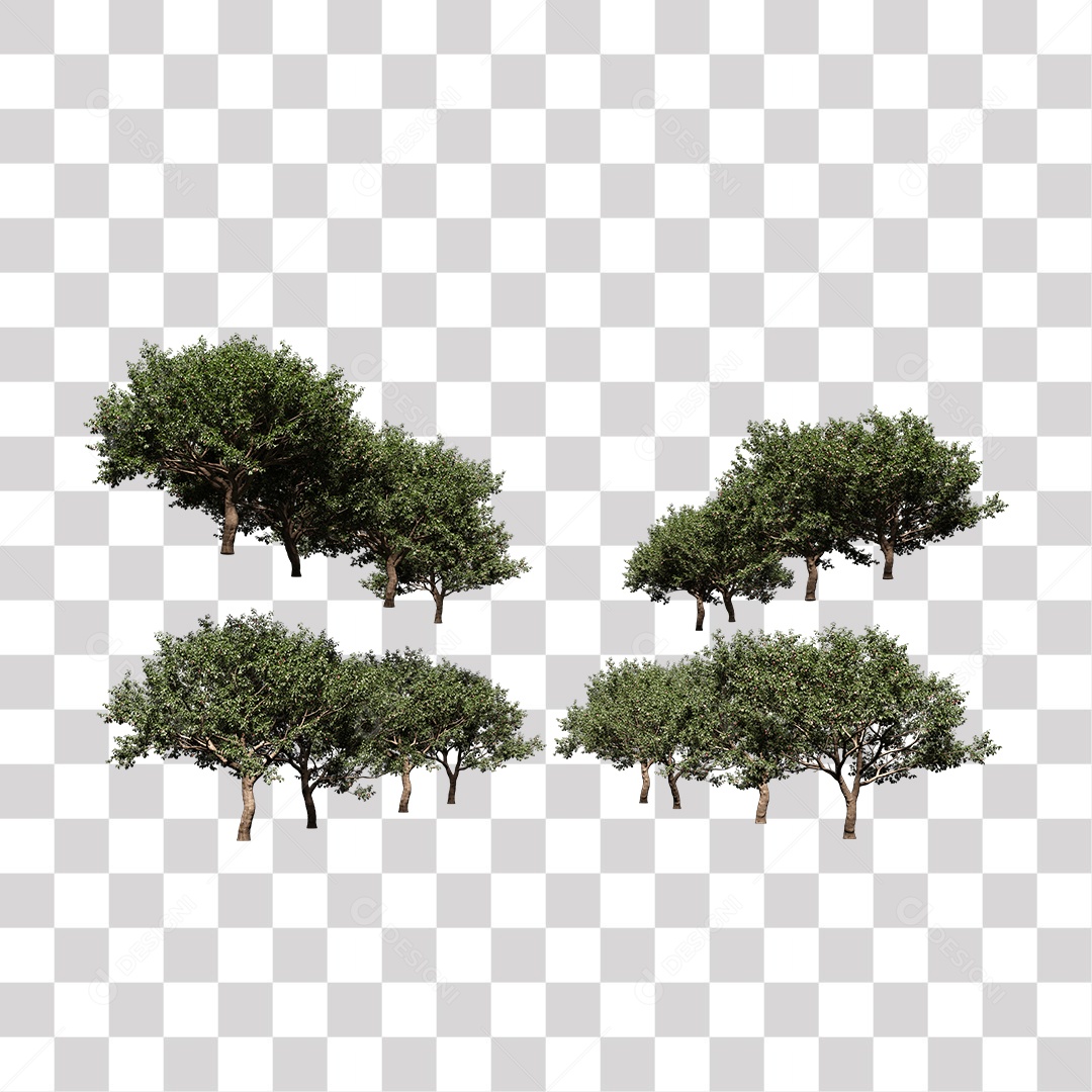 Árvore de Folha Verde Planta PNG Transparente