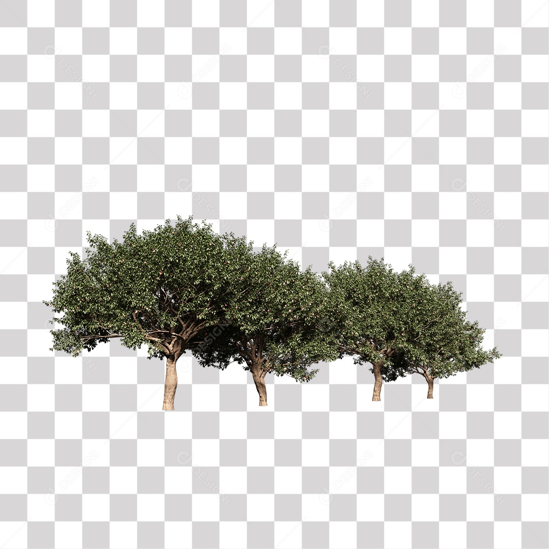 Árvore de Folha Verde Planta PNG Transparente