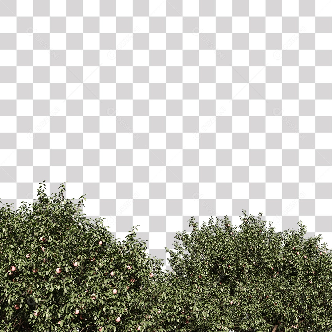 Árvore de Folha Verde Planta PNG Transparente