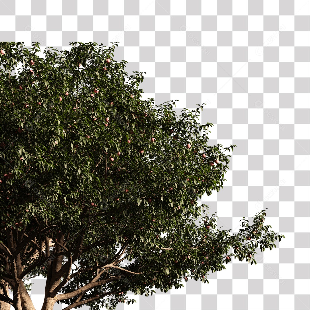 Árvore de Folha Verde Planta PNG Transparente