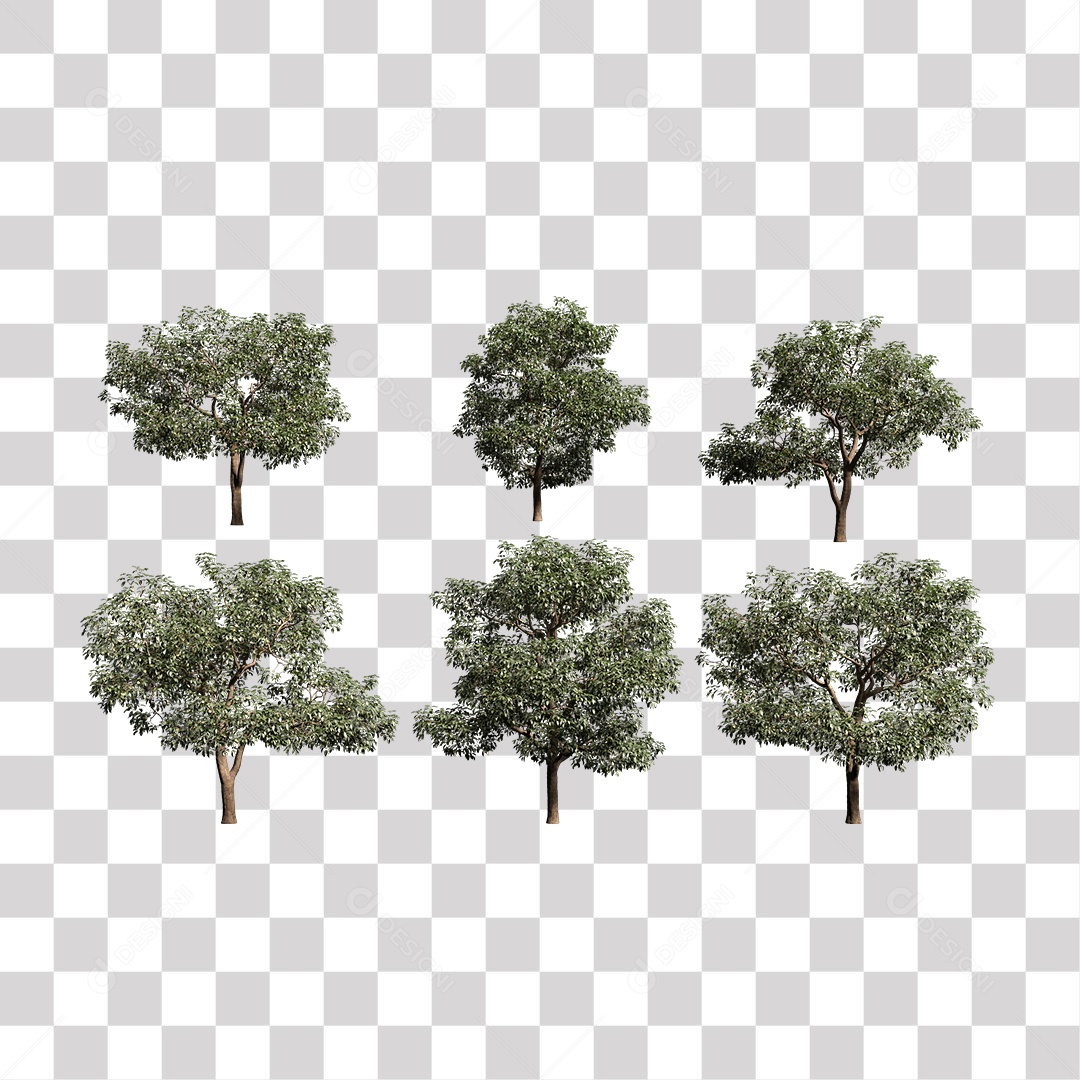 Árvore de folha verde, planta PNG Transparente