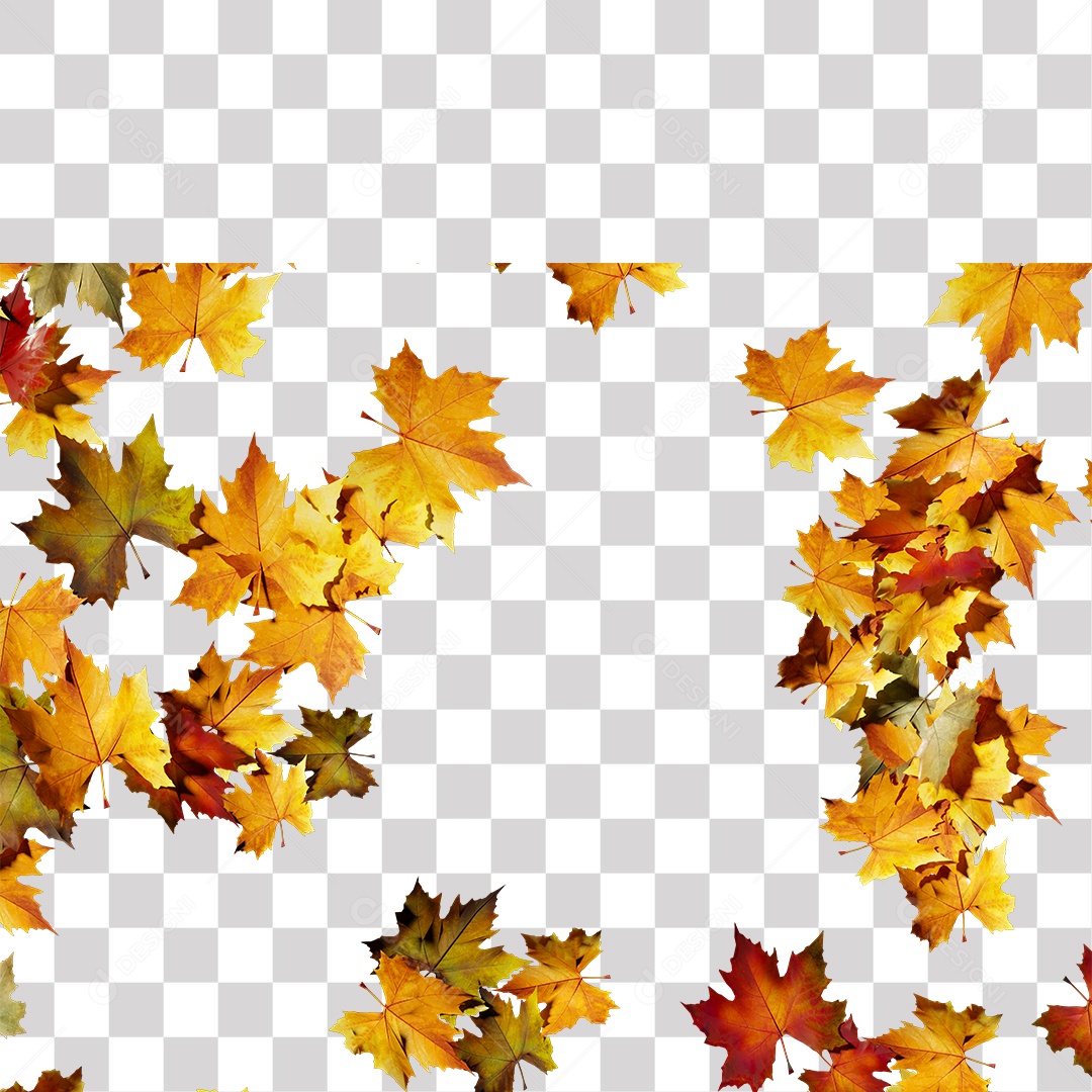 Folhas Amarela Seca PNG Transparente