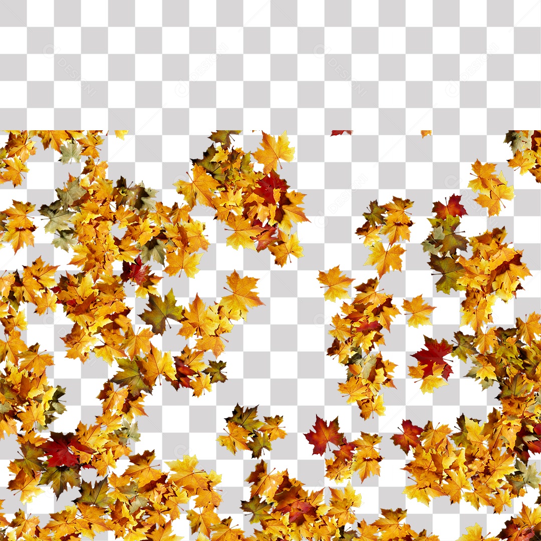 Folhas Amarela Seca PNG Transparente