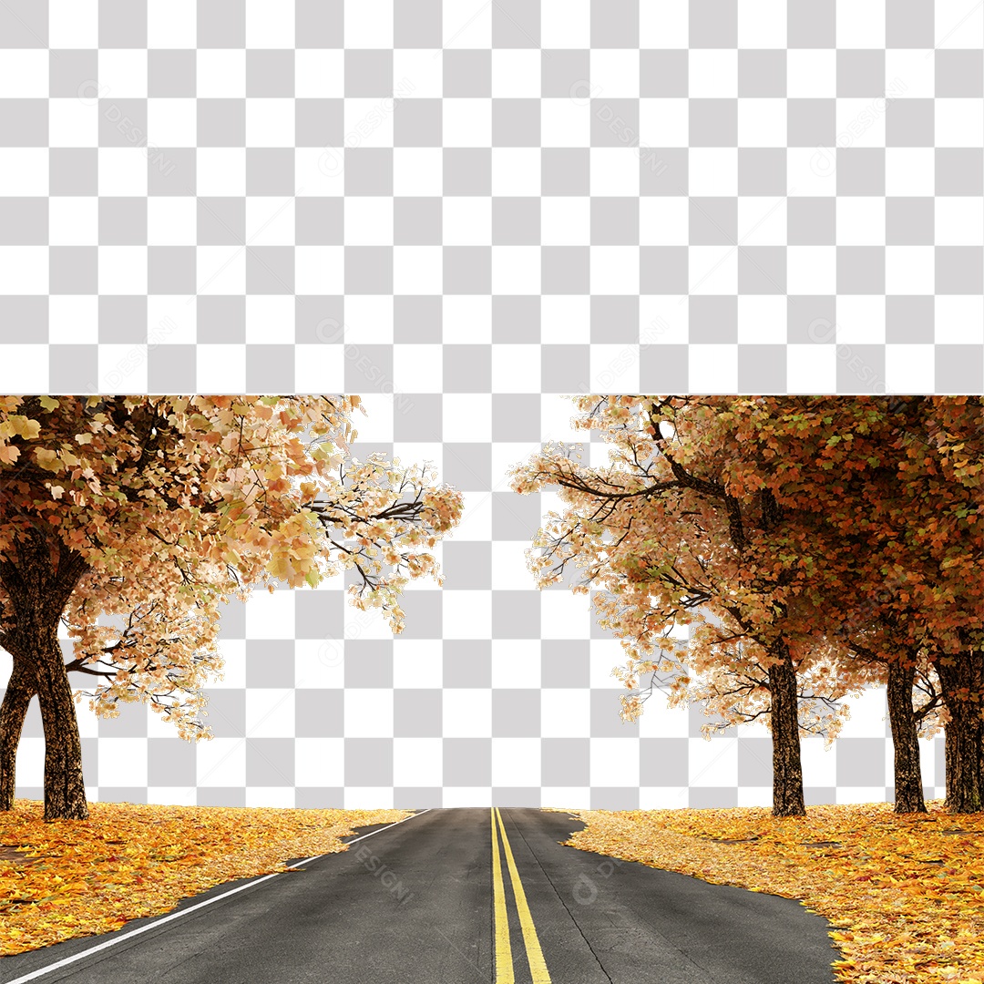 Árvores Amarela Estrada PNG Transparente