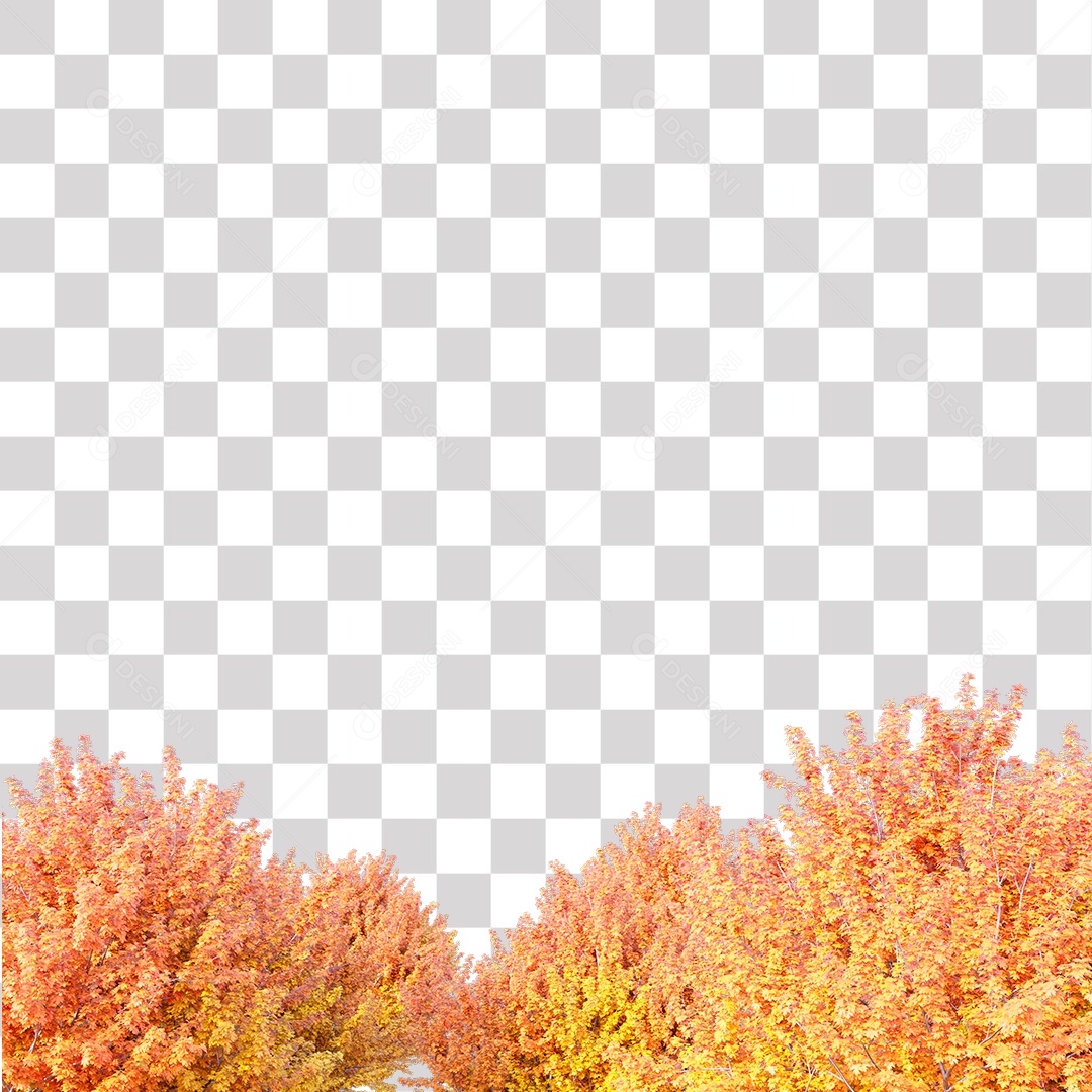 Árvores de Outono PNG Transparente