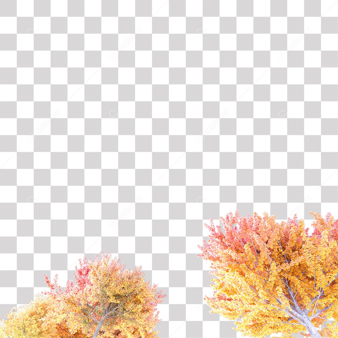 Árvores de Outono PNG Transparente