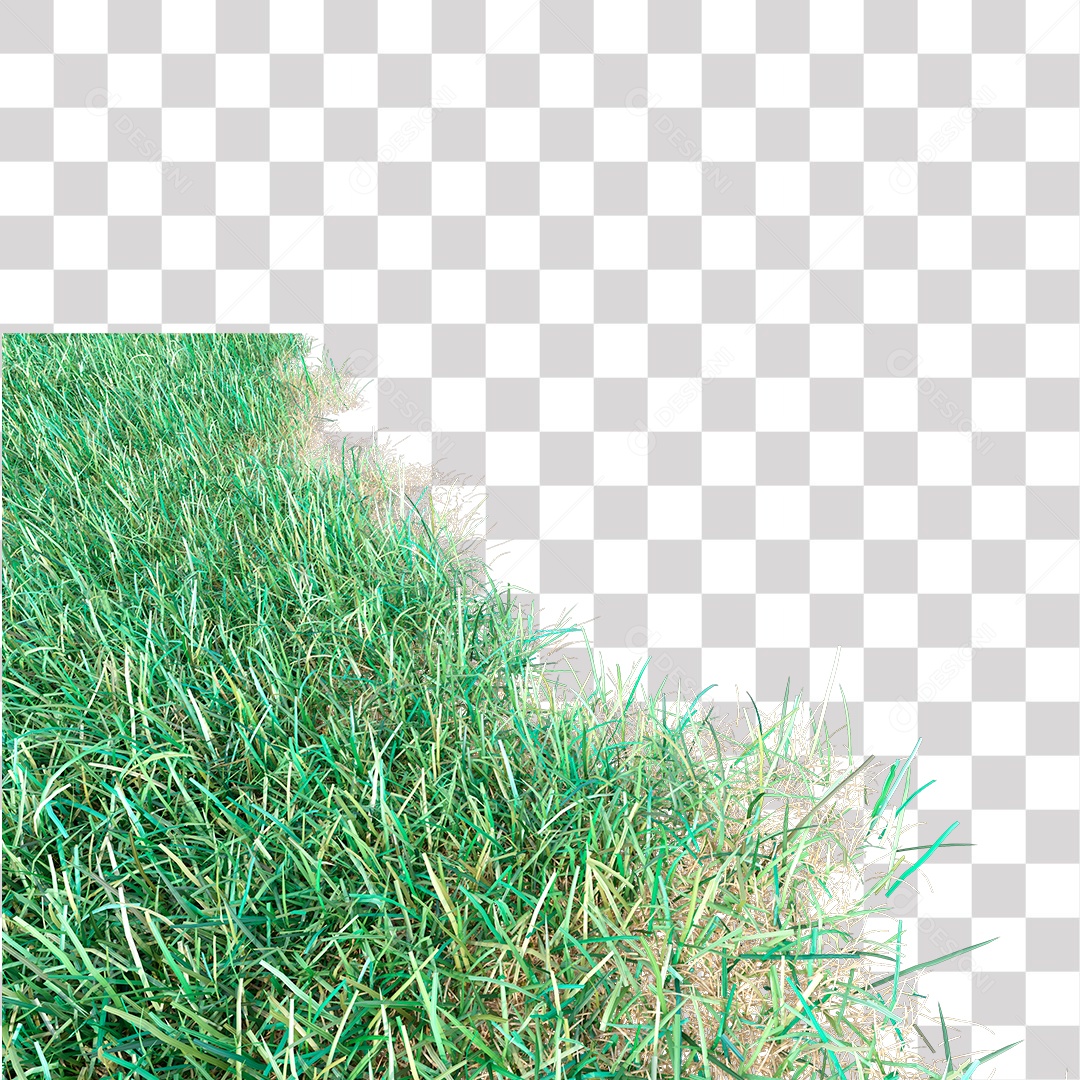Grama Verde PNG Transparente
