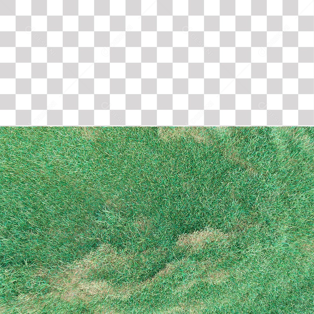 Grama Verde PNG Transparente