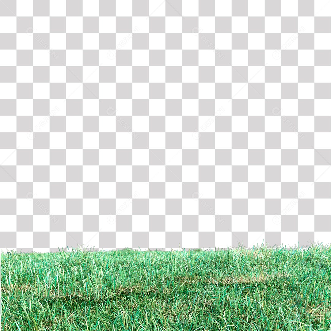 Grama Verde PNG Transparente