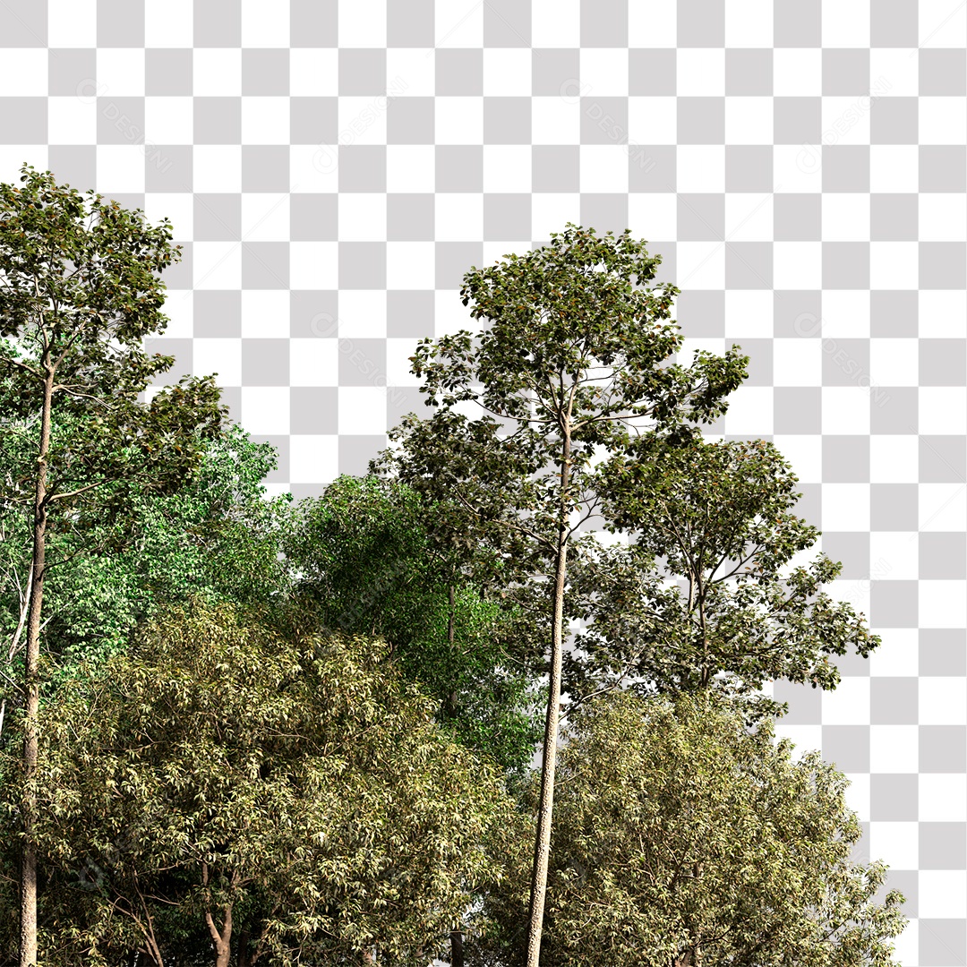 Árvores verdes PNG Transparente