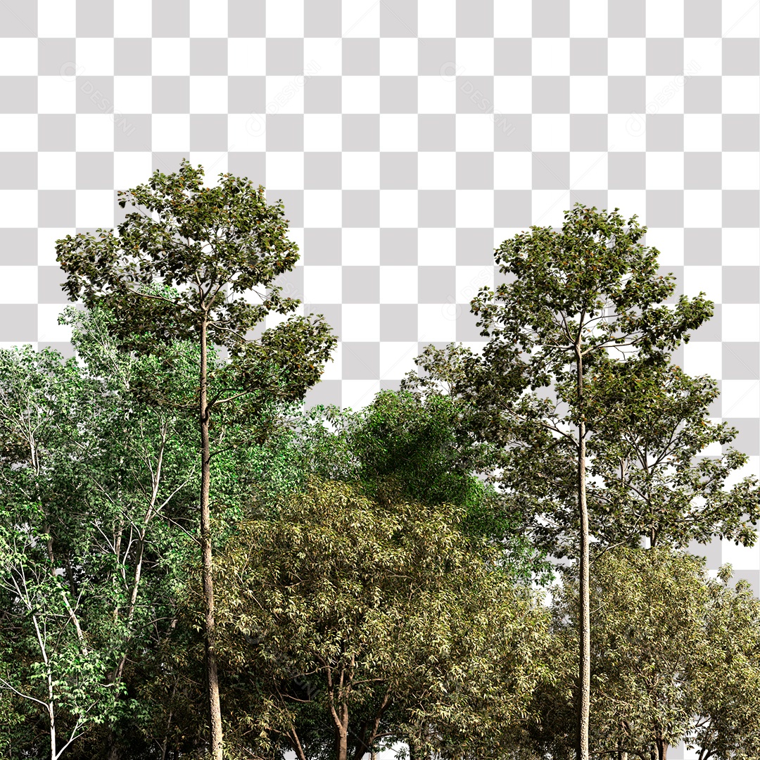 Árvores verdes PNG Transparente