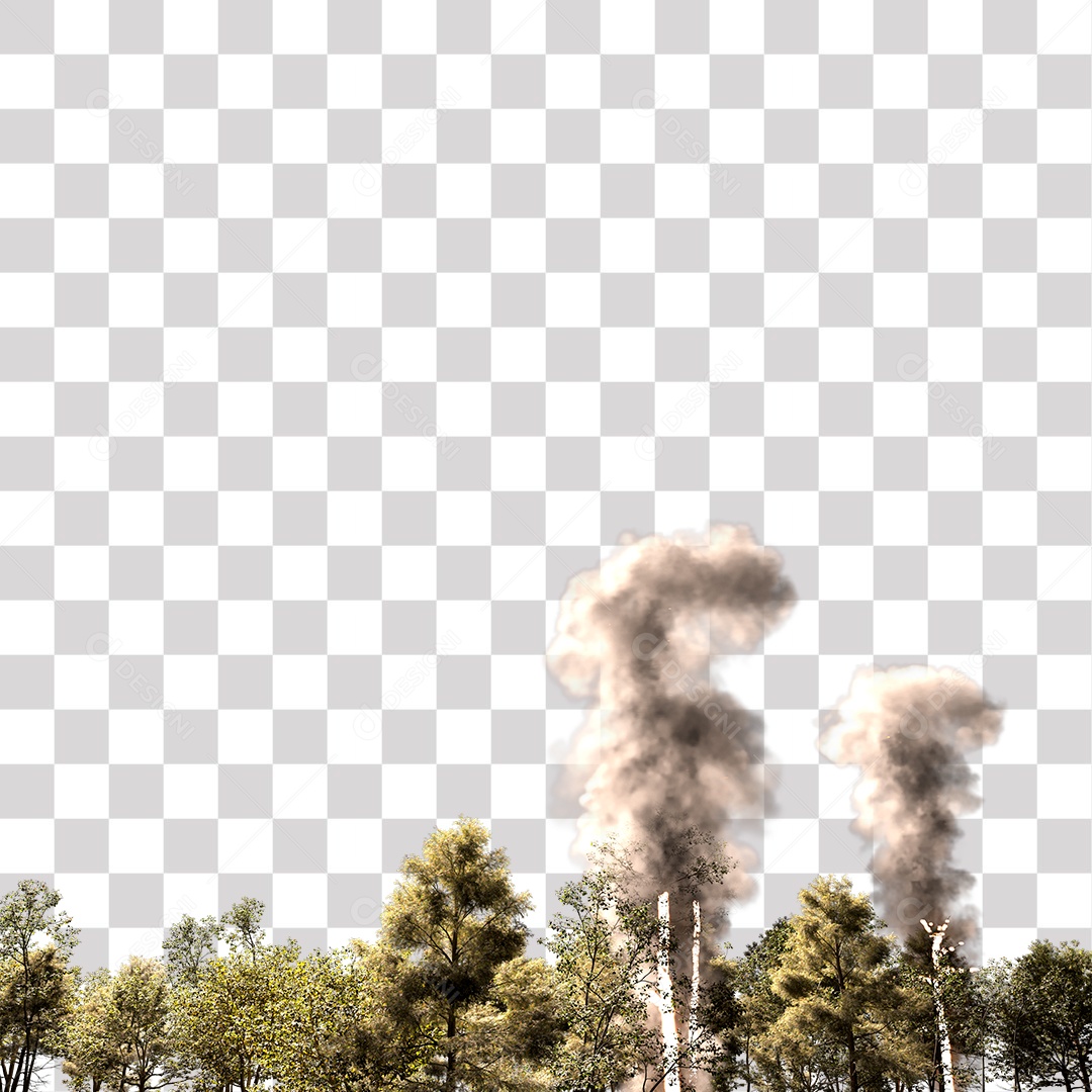 Queimada Árvores Fumaça PNG Transparente