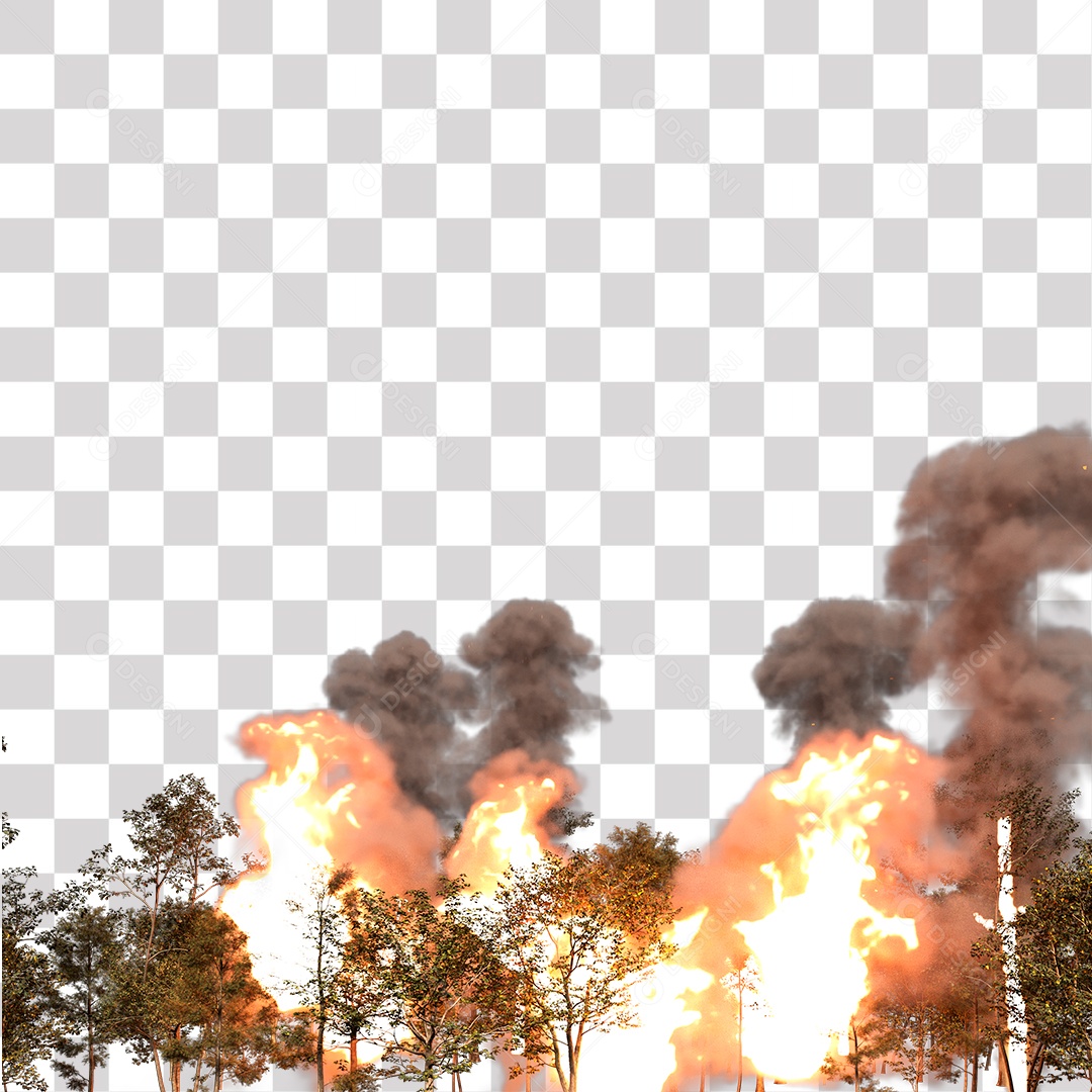 Queimada Árvores Fumaça PNG Transparente
