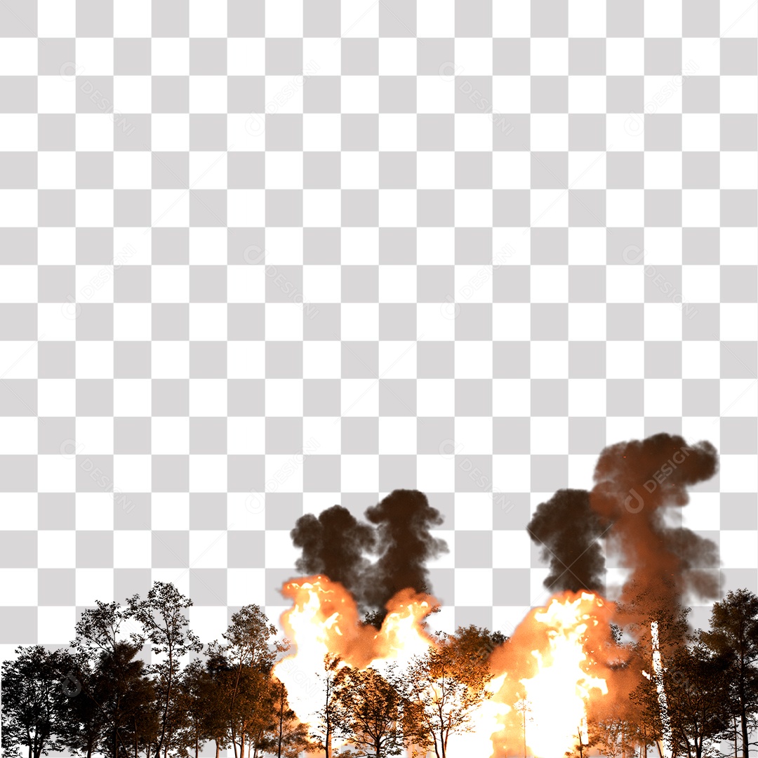 Queimada Árvores Fumaça PNG Transparente